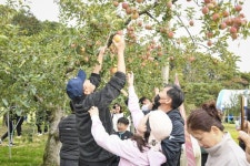 '못난이가 스타사과로 달콤 반전'…'2025 문경사과축제' 개최