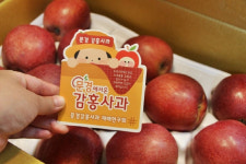 가장 맛있는 문경 감홍사과는…따봄농장 대상 수상