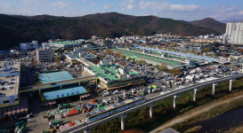 대구농수산물유통관리공사, 출범 1년 만에 전국 우수기관 선정