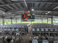 경남도, 염소산업을 신성장 축산업으로 육성