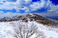 겨울바람 따라 단양으로… 소백산 눈 소식에 등산객 관심 집중