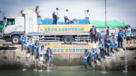바다에 뿌린 희망 13만 마리…목포수협, 어민 소득 살리기 나섰다
