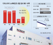 전략투자·우호지분 확보…노루페인트 지분 늘린 디어스아이