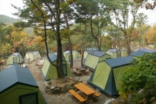 [건강배낭] 아름다운 꽃과 동물이 어우러진 동화 같은 세상