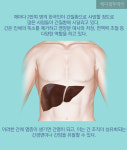 [카드뉴스] 간 건강관리에 도움 주는 6가지 식품들
