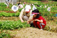 서울 어르신·다둥이·다문화가족농장 텃밭 가꾸기 시작