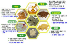 면역력 떨어지는 환절기…“‘항산화ㆍ항염증 효과’ 양봉산물로 건강 지키세요”
