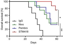 에스티큐브, AACR서 STM418 전임상 결과 발표 예정