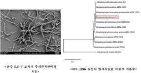 우리 흙에서 고가의 항생물질 만드는 ‘크로모마이신’ 합성 균주 발견