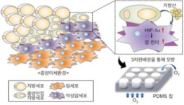 지방세포 지방산이 암세포 전이 심화시킨다