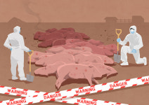 가축 사료 남은 음식물, 가축전염병 확산 방지 위해 이동 제한된다