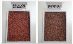 ‘사용 금지’ 값싼 면조인을 산조인으로 둔갑시킨 한약제조업체 6곳 적발