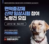 N동물의료센터, 면역증강제 임상연구 참여 노령견 모집