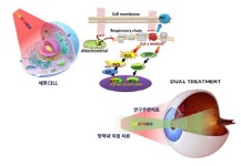씨엠랩, 노인성 황반변성 전자약 개발사업 복지부 지원 과제 선정