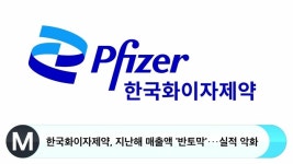 한국화이자제약, 지난해 매출액 반토막···실적 악화