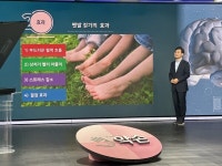 행복한재활의학과 김정훈 원장, ‘메디컬 약손’서 맨발 걷기의 힘 알려