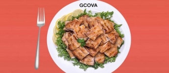 원산지 표기 위반 논란 속 지코바, 순살 제품 브라질산으로 ‘전면 전환’