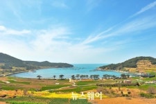 청산도 방문객 올 36만 돌파