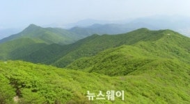 백운산 국립공원지정 추진…광양시-구례군 공동협력