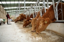 해남군, 전라남도 녹색축산 '최우수'