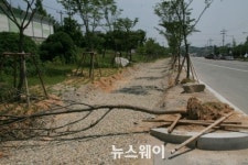 광주시, 가로수 무단훼손 강력 처벌