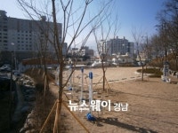 창원시, 미개발 밤골지역 공원조성 완료