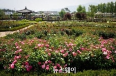 제4회 곡성세계장미축제 프로그램 제안 공모