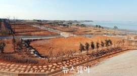 아름다운 풍경 함평 주포한옥전원마을 건립 본격화