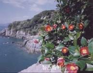 여수시 관광객 증가…오동도 21만명 방문