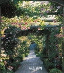 화순 벌고천 주변 ‘명품 장미거리’ 조성