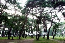 하동 송림공원 자연휴식년제 돌입