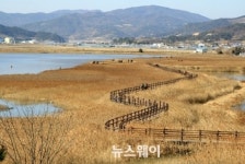 순천만자연생태공원,15일부터 공원 일부입장 가능