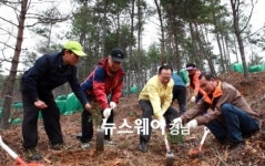 하동군 금남면 재선충 피해지역 편백 복원
