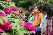 [NW포토]강진 도암초 학생들 세월호 희생자 추모묵념