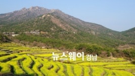 남해군 두모마을 ‘봄꽃이 있는 농촌체험ㆍ휴양마을’에 선정