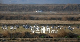 창원시, 주남저수지 생물다양성 확보에 ‘총력’