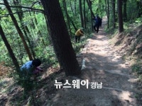 창원 마산합포구, 피톤치드향 가득한 무학산 둘레길 조성