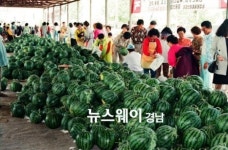 농민 직거래 ‘창원수박 직판장’ 운영