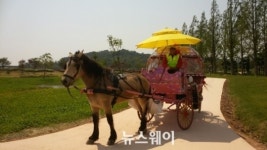 순천만정원 ‘꽃마차’ 인기 끌어