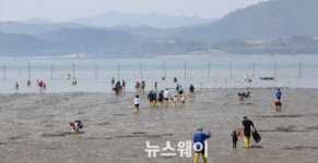 완도 달도마을 맨손고기잡이 체험장 개장