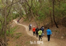 순천시, 봉화산둘레길 왜곡보도 언론 법적조치 검토