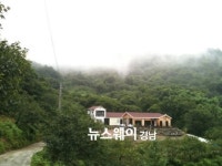 [하동 야생차 투어 연우제다 귀농일기]발효차 만들기