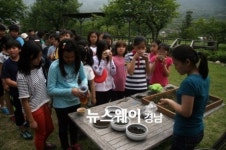 하동 악양초, 한국홍차학교에서 배우는 차사랑 체험교육