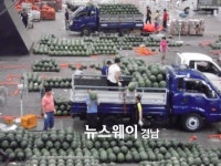 진주시 농산물도매시장에 수박 사러 오세요~