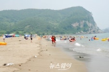 올 여름 피서는 청정 고흥 바다로~