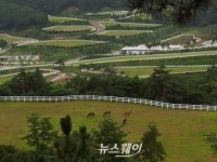 장수목장 28일 목장 음악회 초대합니다