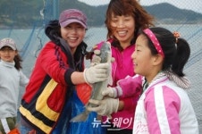 청정 진도서 개매기 체험 즐기세요
