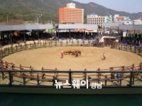 창녕 상설 민속소싸움대회