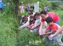 ‘반딧불이 고장’ 무주군, 애반딧불이 유충 방사