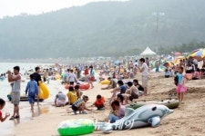 무더운 여름, 시원한 진도로 오세요!